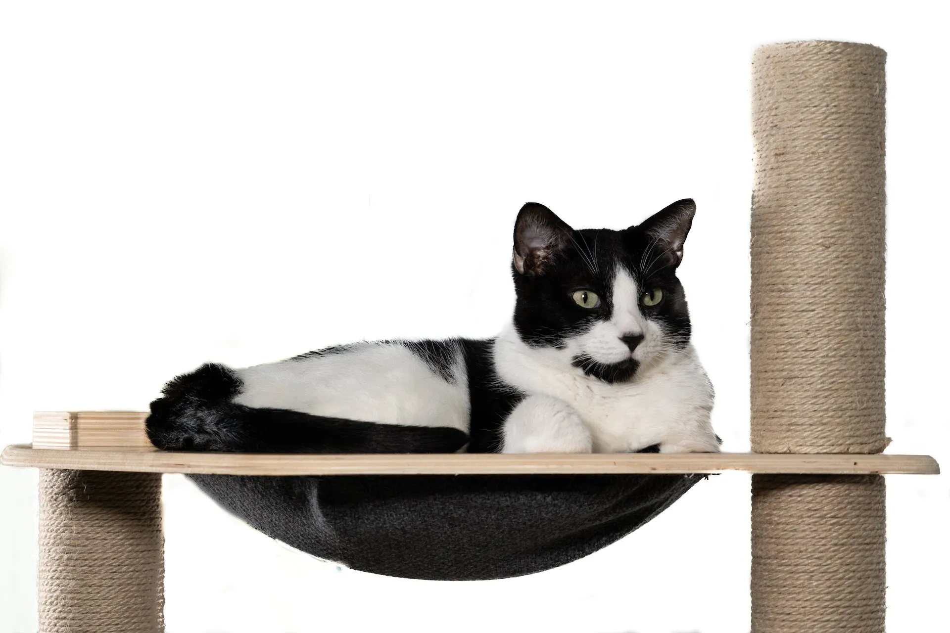 2-Level Cat Condo with Hammock Bed and Scratching Post