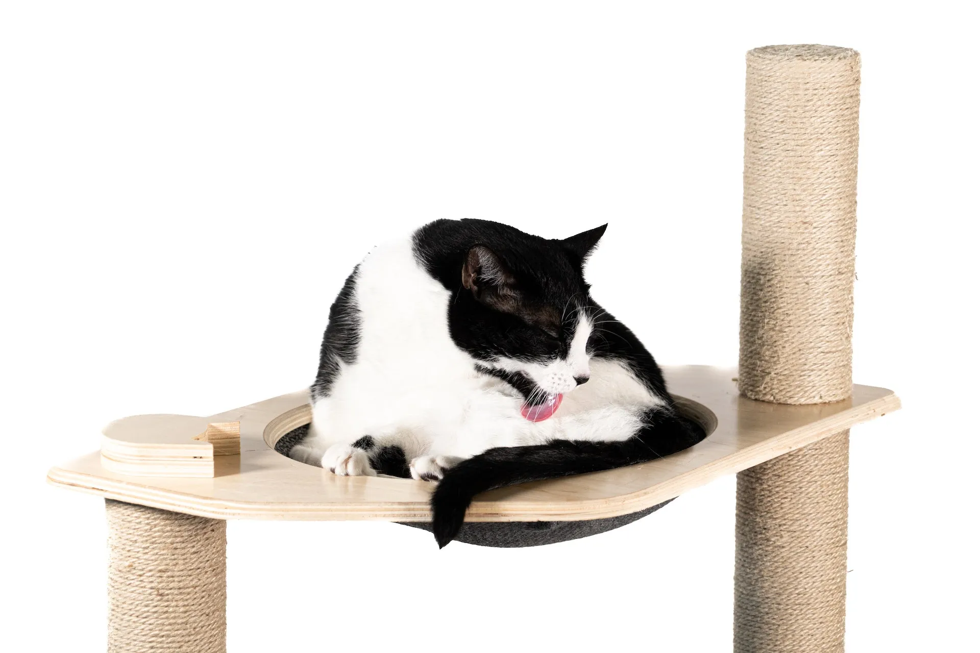 2-Level Cat Condo with Hammock Bed and Scratching Post
