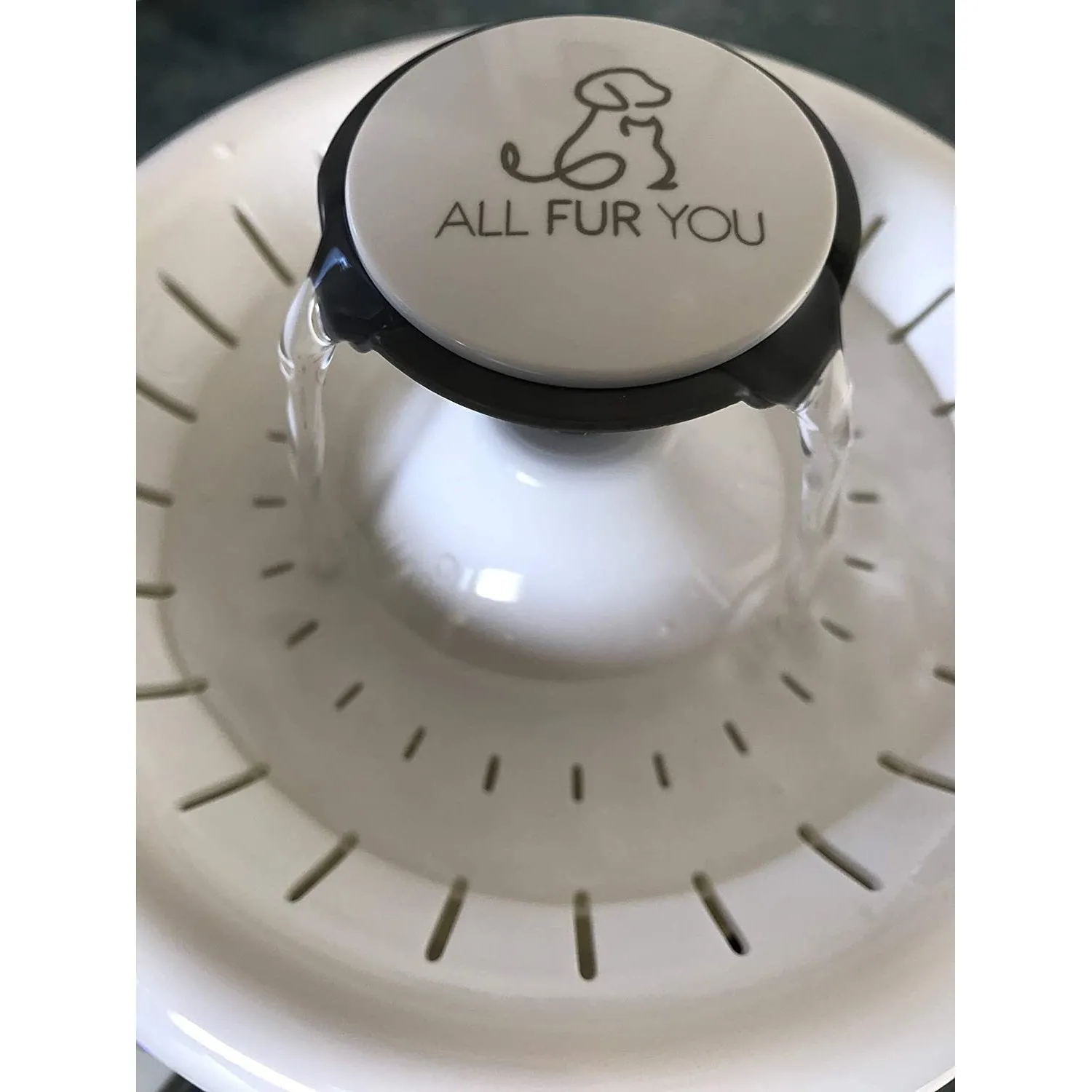 All Fur You Whisper Water Fountain