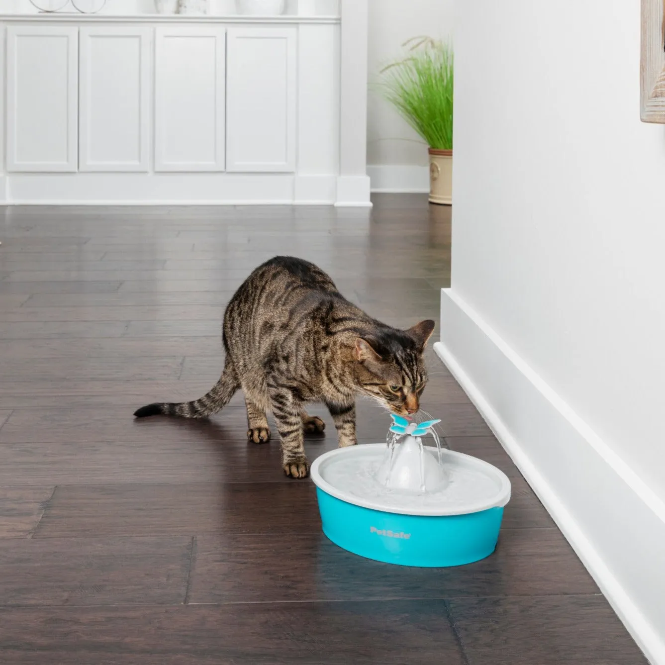 Drinkwell® Butterfly Pet Fountain