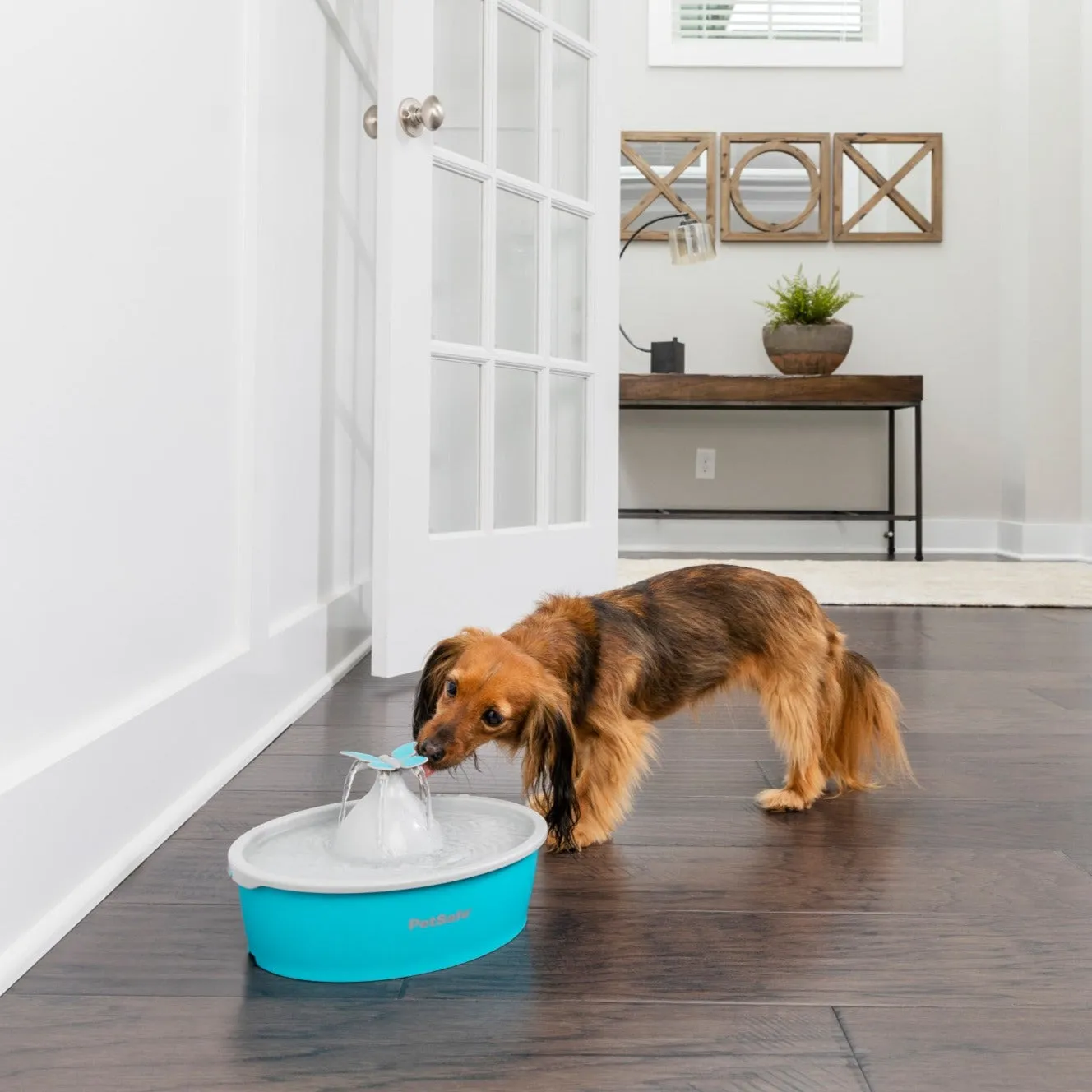 Drinkwell® Butterfly Pet Fountain