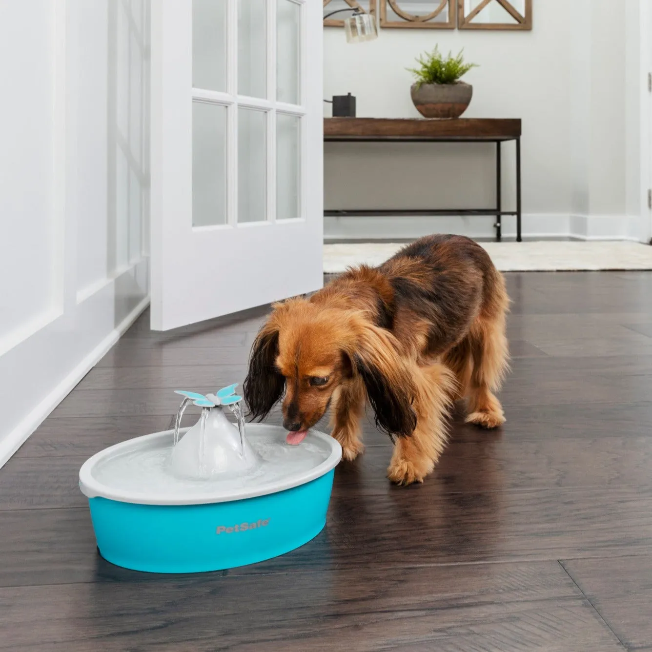 Drinkwell® Butterfly Pet Fountain