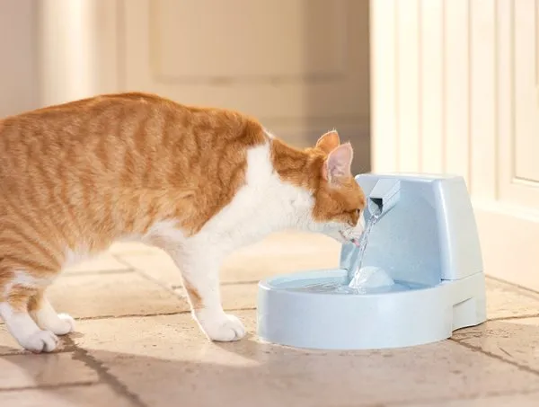 Drinkwell® Original Pet Fountain