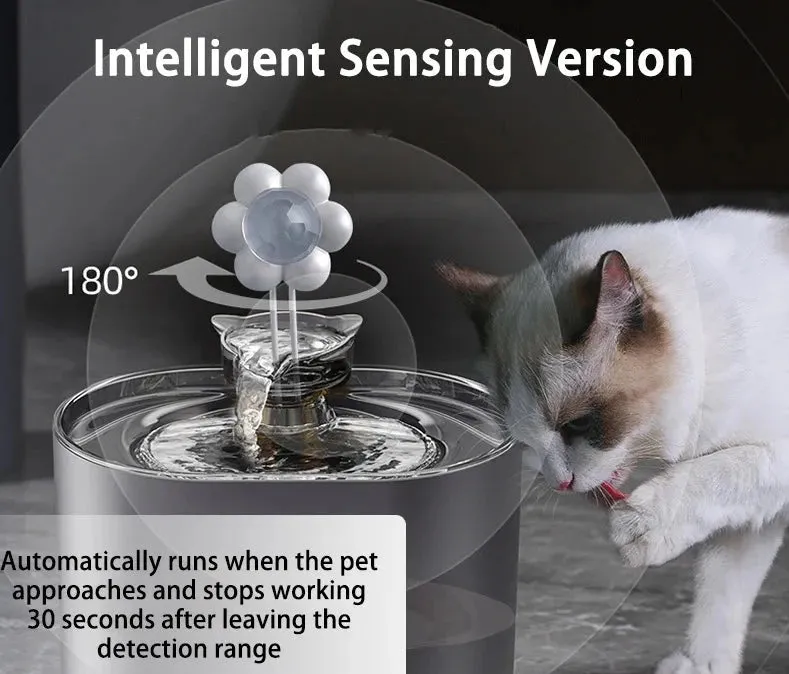 Pet Water Fountain
