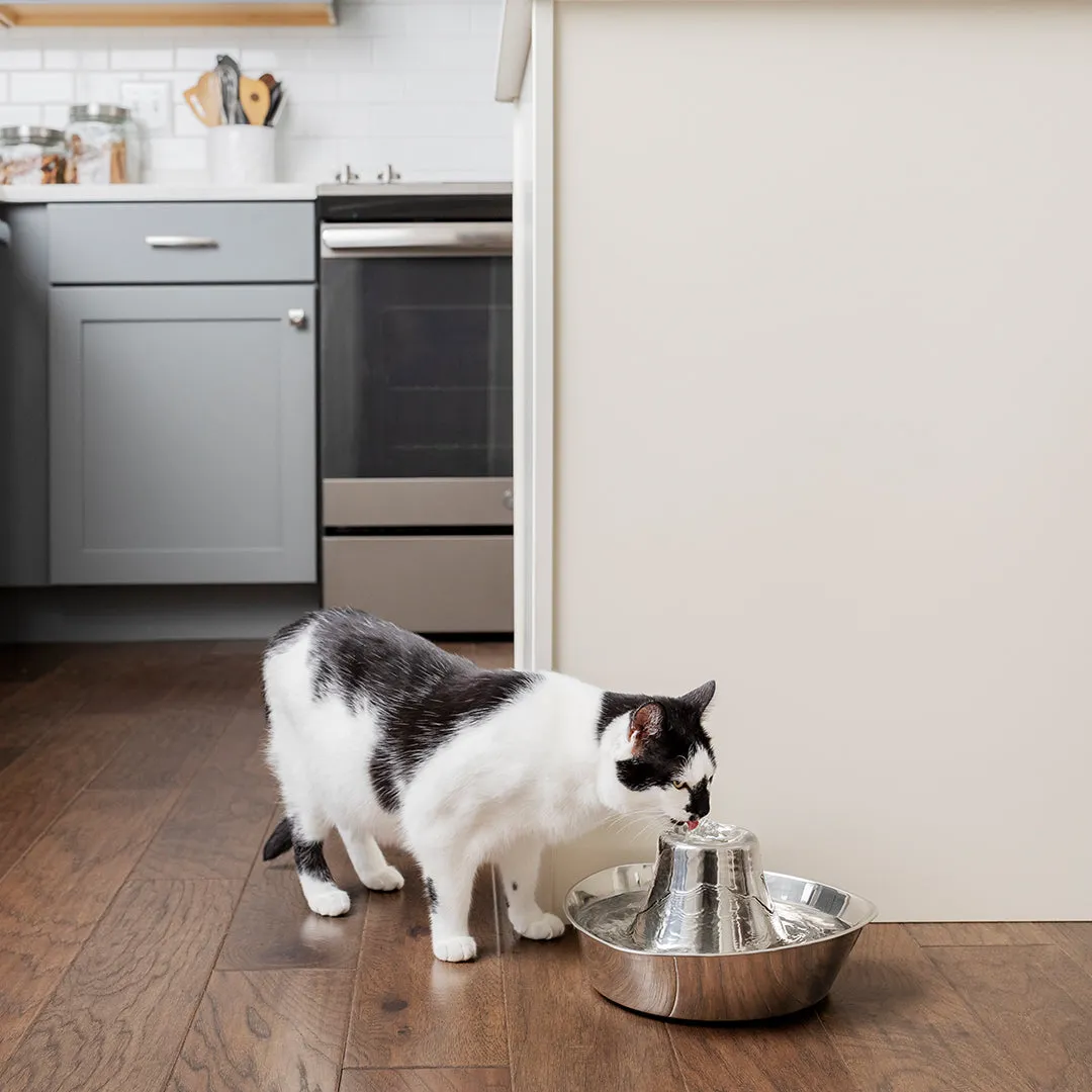 PetSafe® Seaside Stainless Steel Pet Fountain