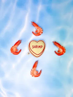 Shrimp Candy Heart Catnip Toy