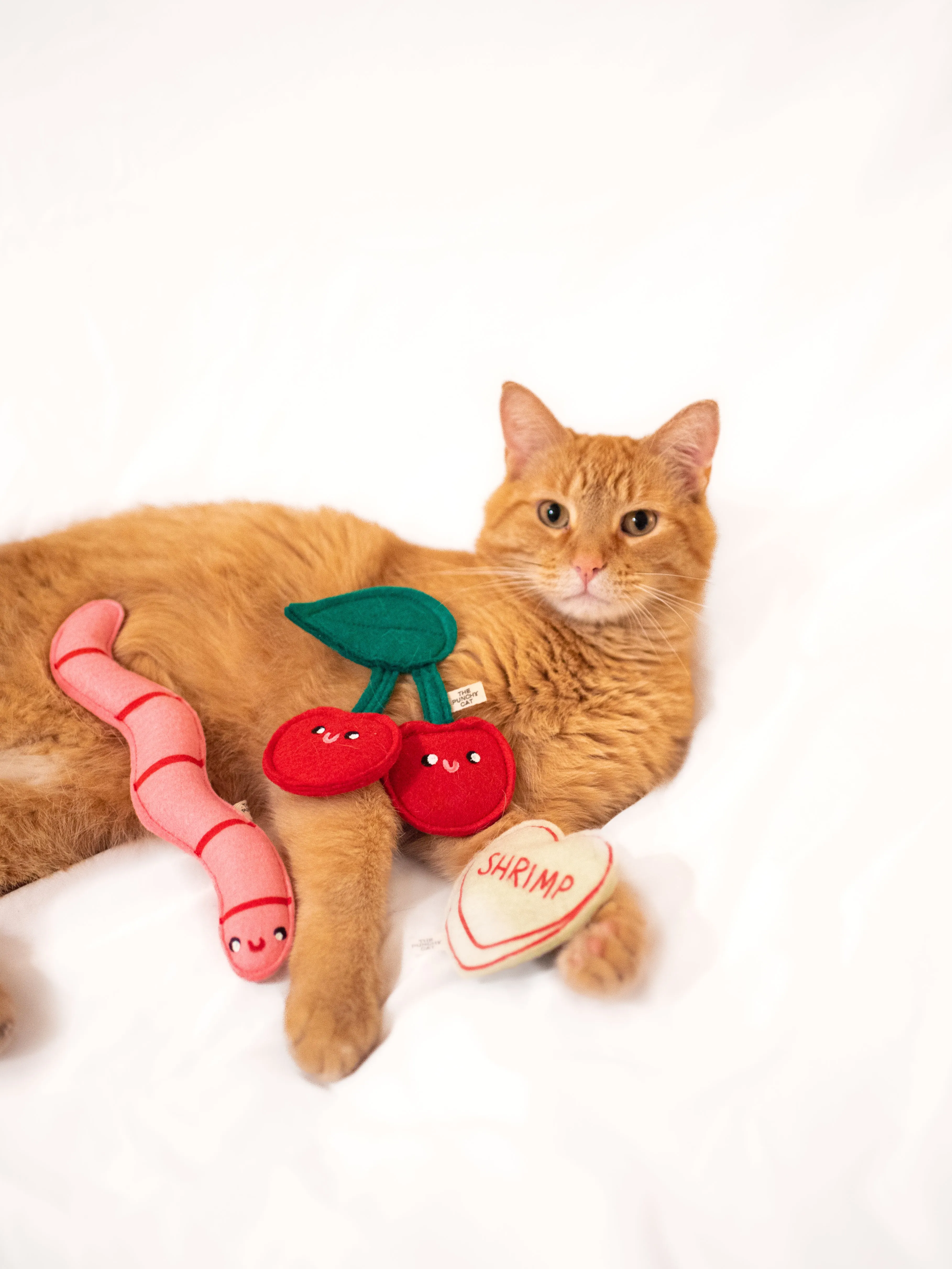 Shrimp Candy Heart Catnip Toy