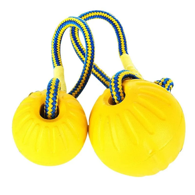 Solid Fetch Training Ball