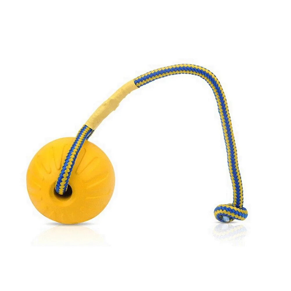 Solid Fetch Training Ball