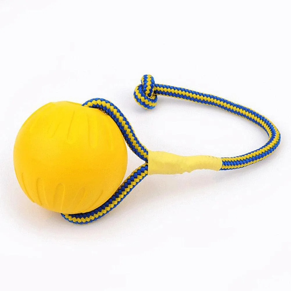 Solid Fetch Training Ball