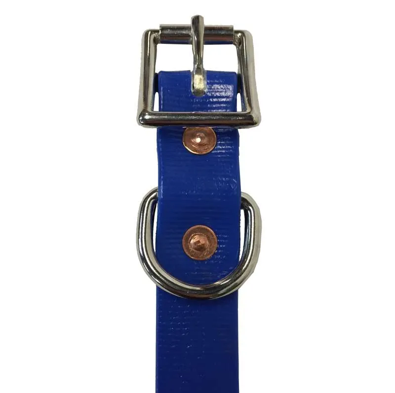 Tts Pvc Dog Collar 1 Inch Wide 42-55Cm
