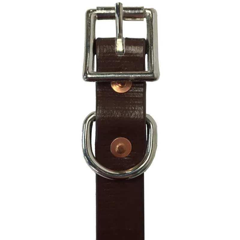 Tts Pvc Dog Collar 1 Inch Wide 42-55Cm